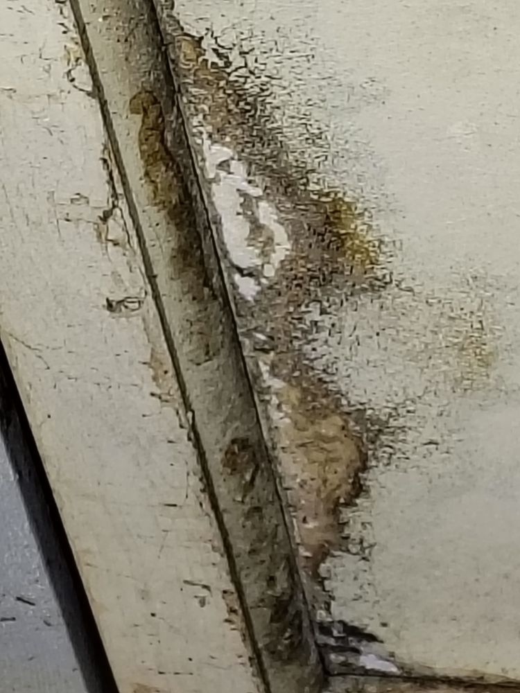 o (4)